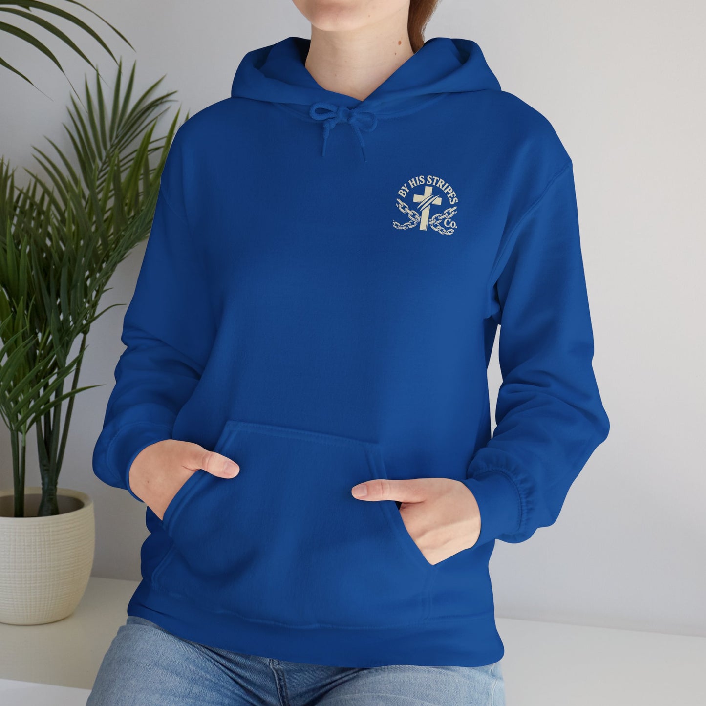 Adult Hoodie | By His Stripes – You Are Healed Hooded Sweatshirt (Isaiah 53:5)