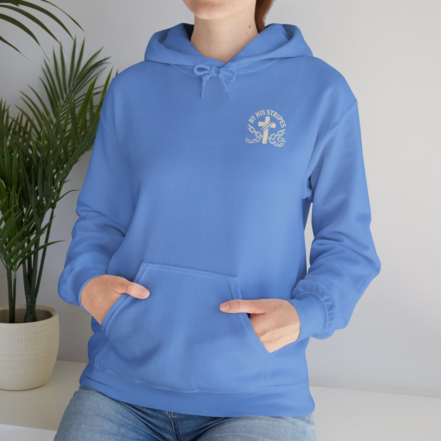 Adult Hoodie | By His Stripes – You Are Healed Hooded Sweatshirt (Isaiah 53:5)