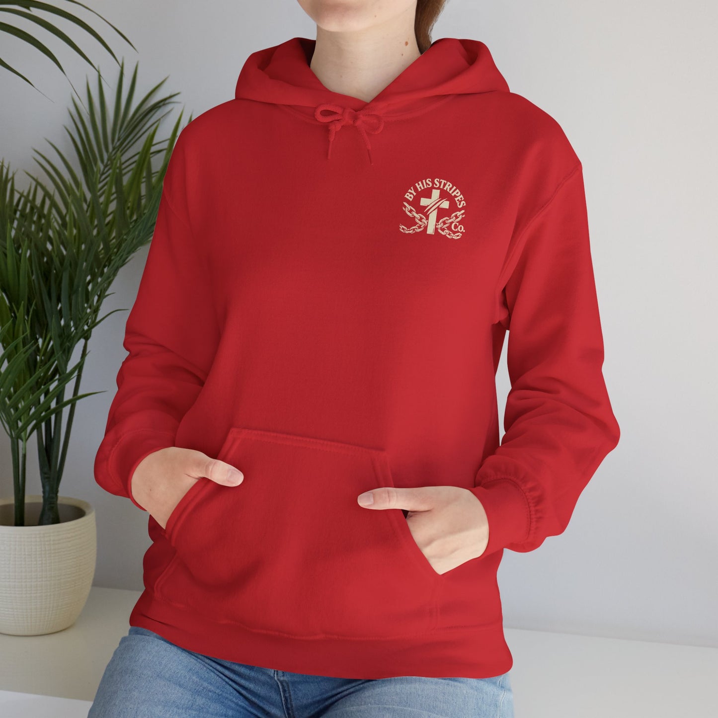 Adult Hoodie | By His Stripes – You Are Healed Hooded Sweatshirt (Isaiah 53:5)