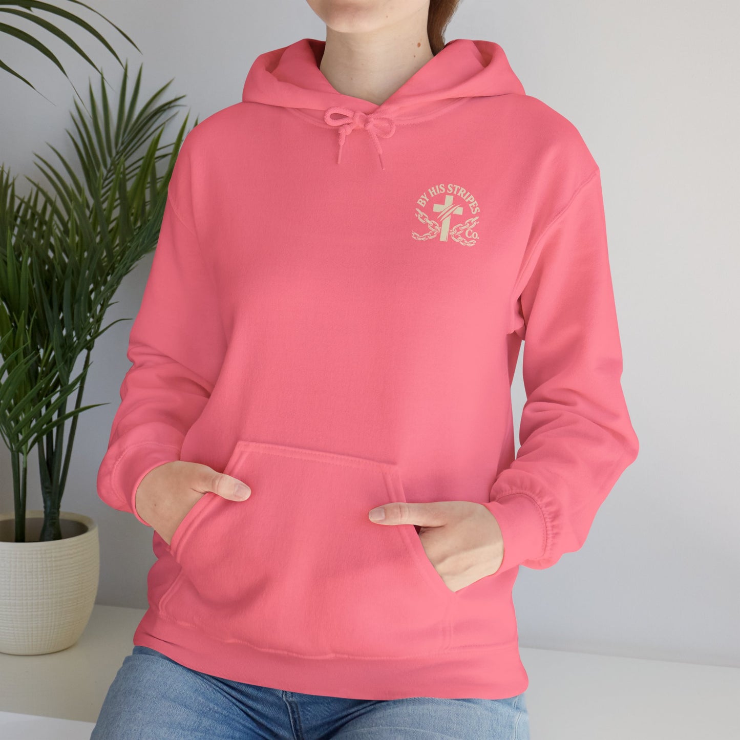 Adult Hoodie | By His Stripes – You Are Healed Hooded Sweatshirt (Isaiah 53:5)