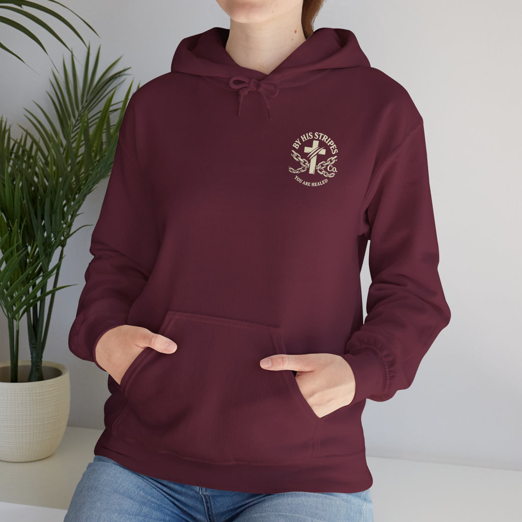 Adult Hoodie — "Walk in the Light" Christian Pullover (1 John 2:7–10)