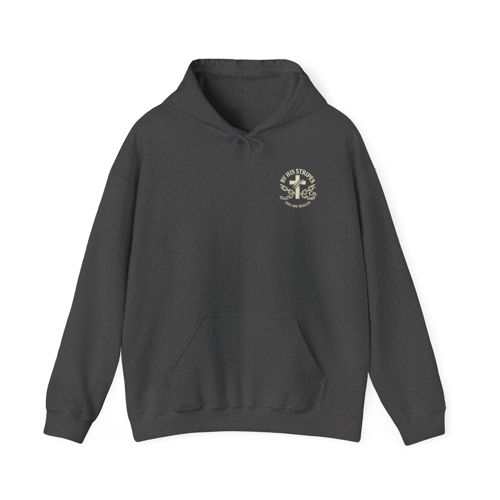 Adult Hoodie — "Walk in the Light" Christian Pullover (1 John 2:7–10)
