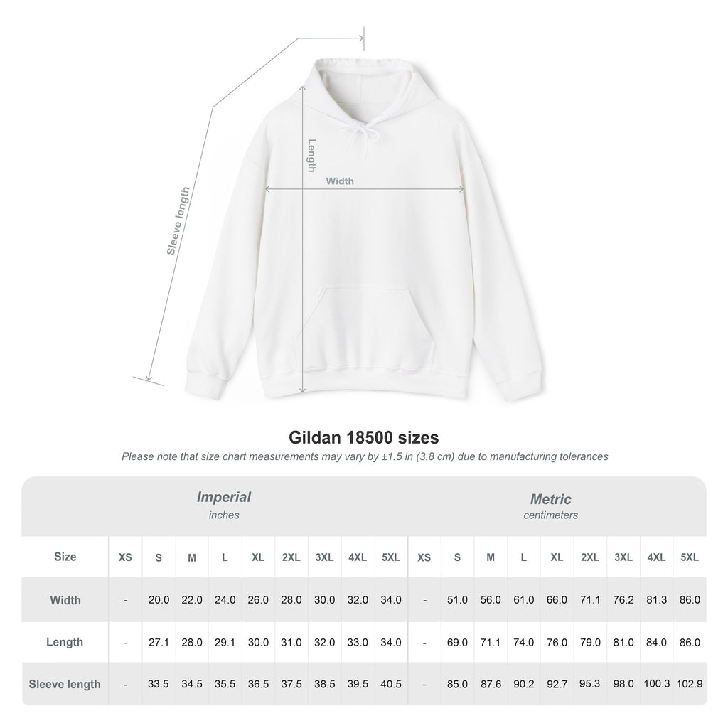 Adult Hoodie — "Walk in the Light" Christian Pullover (1 John 2:7–10)