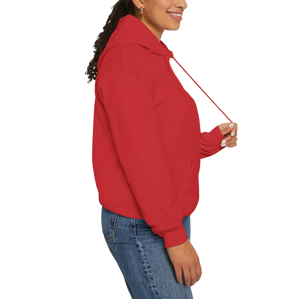 Adult Hoodie — "Walk in the Light" Christian Pullover (1 John 2:7–10)