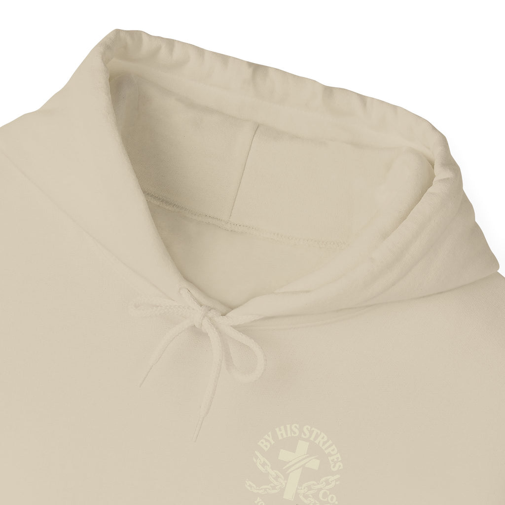 Adult Hoodie — "Walk in the Light" Christian Pullover (1 John 2:7–10)