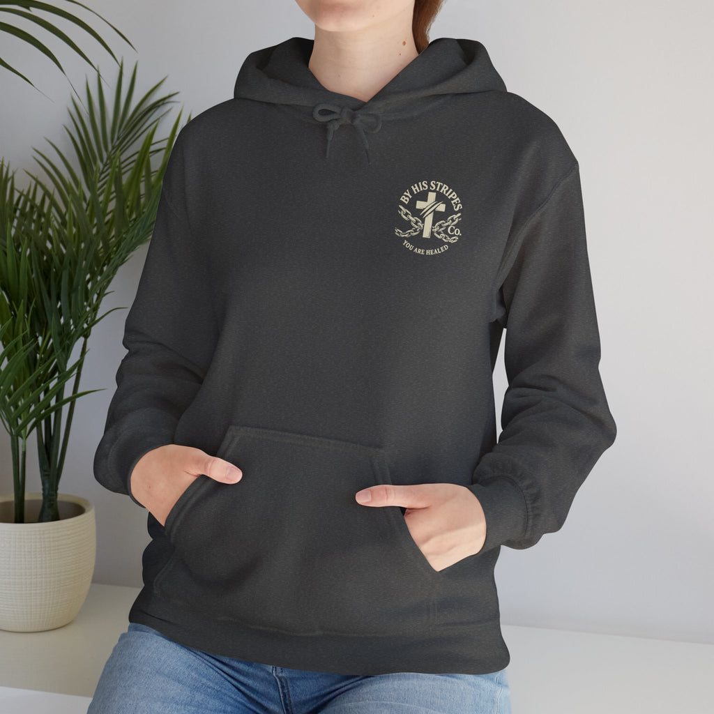 Adult Hoodie — "Walk in the Light" Christian Pullover (1 John 2:7–10)