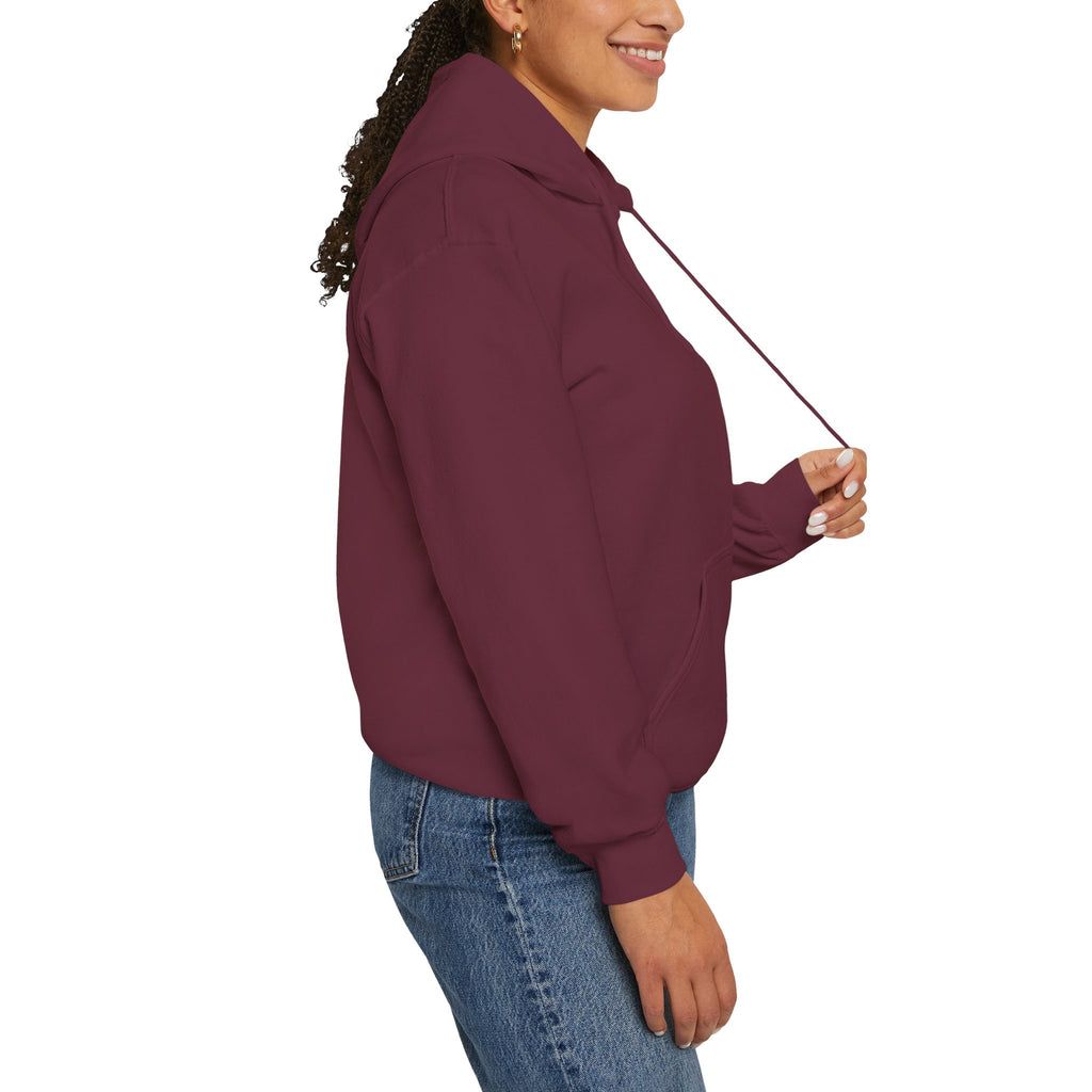 Adult Hoodie — "Walk in the Light" Christian Pullover (1 John 2:7–10)