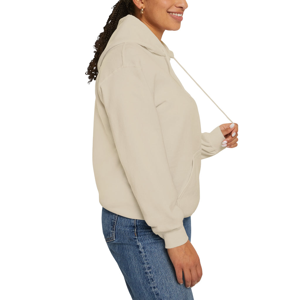 Adult Hoodie — "Walk in the Light" Christian Pullover (1 John 2:7–10)